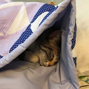 Meet your Posher, Kae